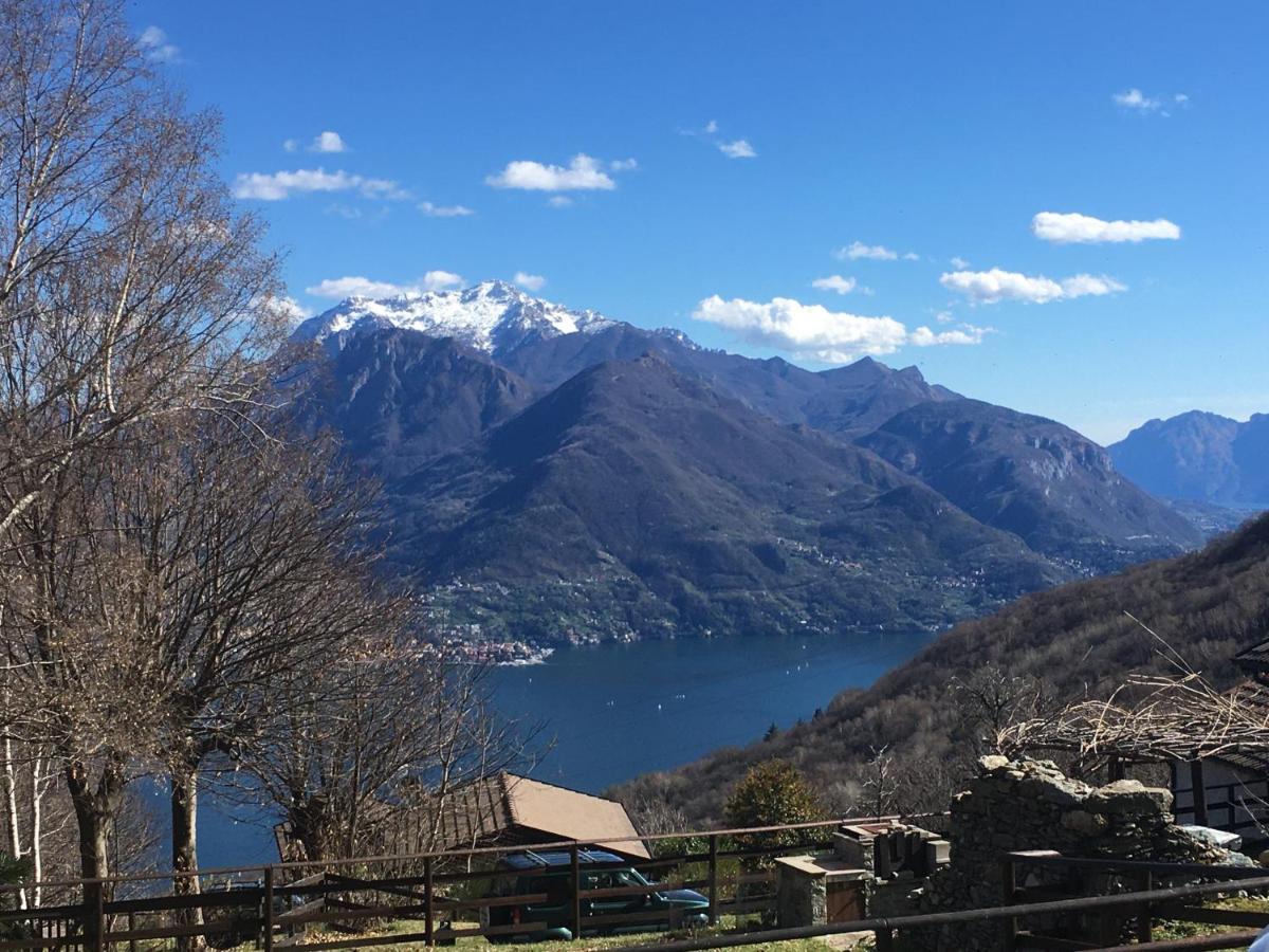 Buonriposo